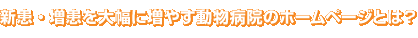 新患・増患を大幅に増やす動物病院のホームページとは？